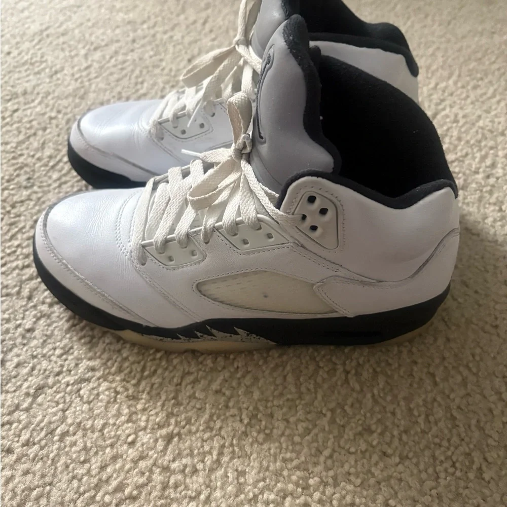 Air Jordan 5s